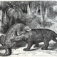 Illustration for article titled Strange 19th Century Drawings of Dinosaurs and Other Extinct Animals